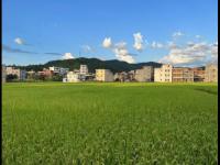 约旦VS阿根廷直播_约旦VS阿根廷直播在线观看_阿根廷vs约旦直播视频在线观看高清直播入口