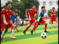 西班牙vs阿根廷直播_西班牙vs阿根廷免费观看_西班牙vs阿根廷直播在线观看全场直播